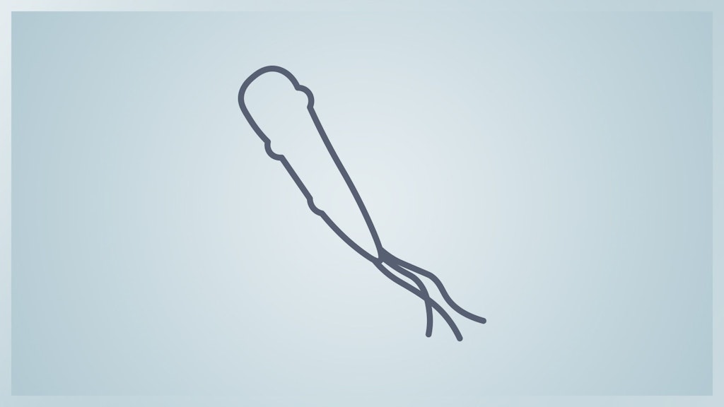 Icon einer Mikroskop-Aufnahme des Tetanus-Erregers