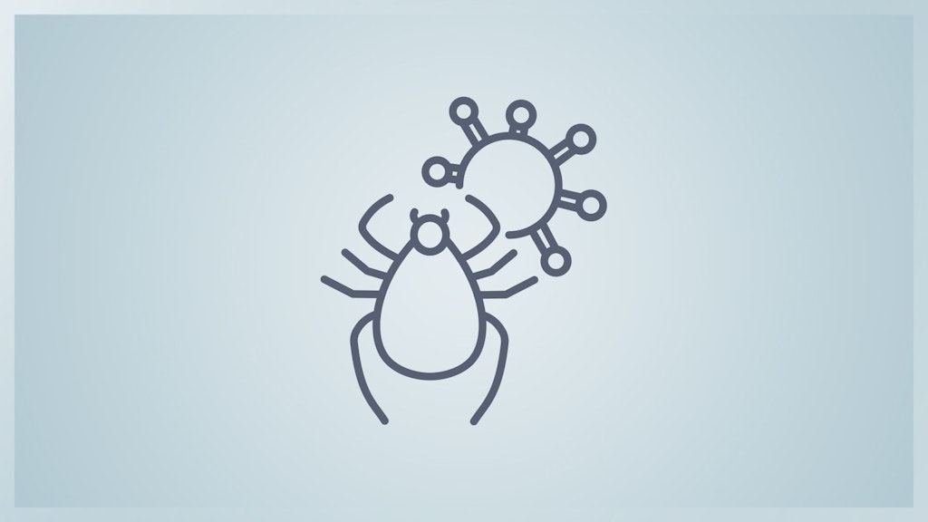 Icon einer Zecke und eines Virus