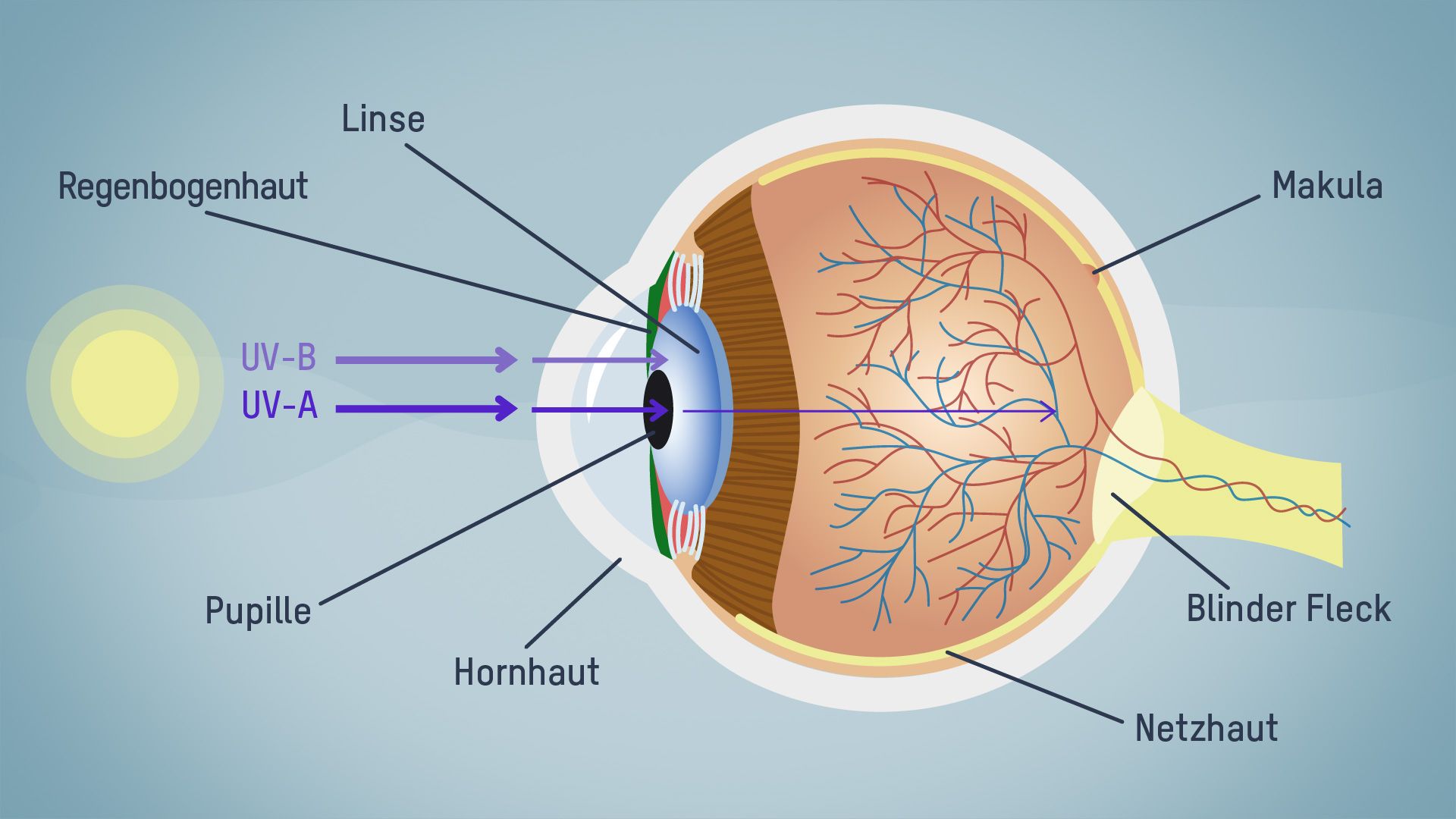 UV-Strahlen und ihre Auswirkungen auf die Augen