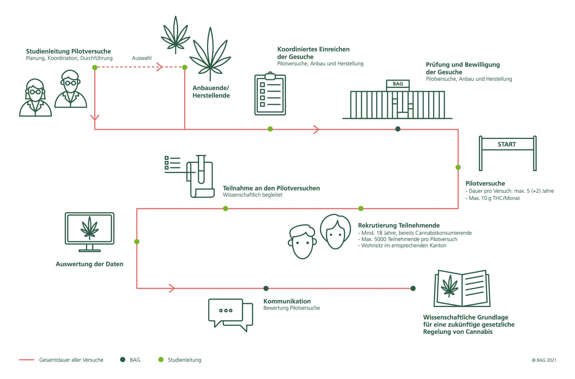 Ablauf der Pilotversuche mit Cannabis.  Koordiniertes Einreichen der Gesuche, Prüfung und Bewilligung der Gesuche durch BAG, Start Pilotversuche, Rekrutierung Teilnehmende, Durchführung Pilotversuche, Auswertung der Daten und Kommunikation. Die Pilotversuche bilden die wissenschaftliche Grundlage für eine zukünftige gesetzliche Regelung mit Cannabis.
