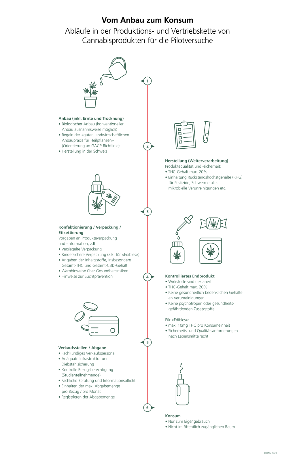 Ablauf vom Anbau bis zum Konsum von Cannabisprodukten: 1. Anbau, 2. Herstellung, 3. Verpackung, 4. Kontrolliertes Endprodukt, 5. Verkaufsstellen/Abgabe, 6. Konsum