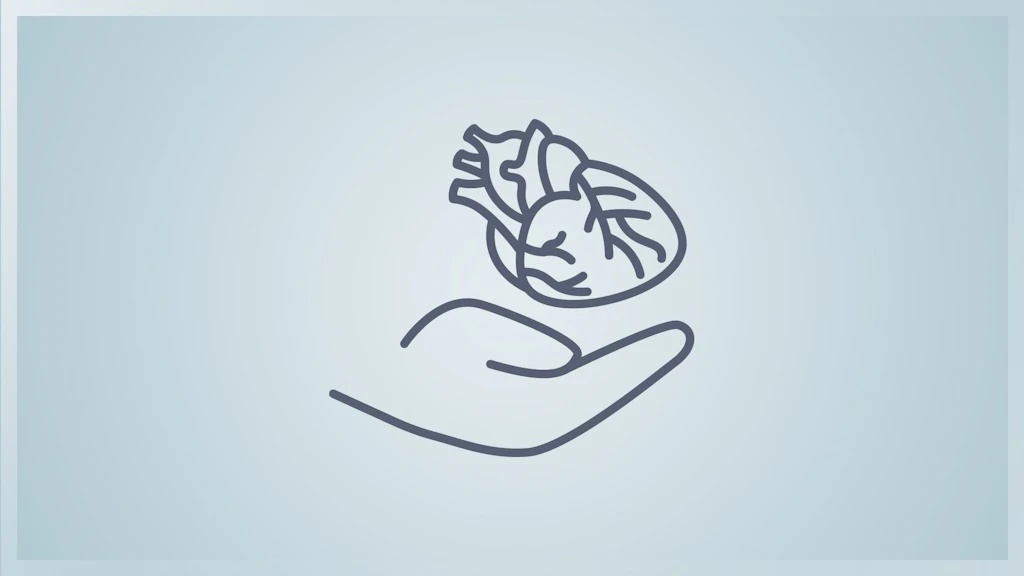 Icon einer offenen Hand unter einem menschlichen Herzen