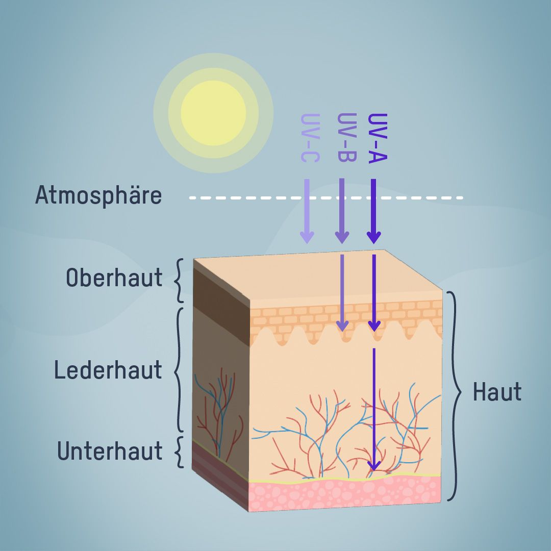 Eindringtiefe von UV-Strahlen in die Haut