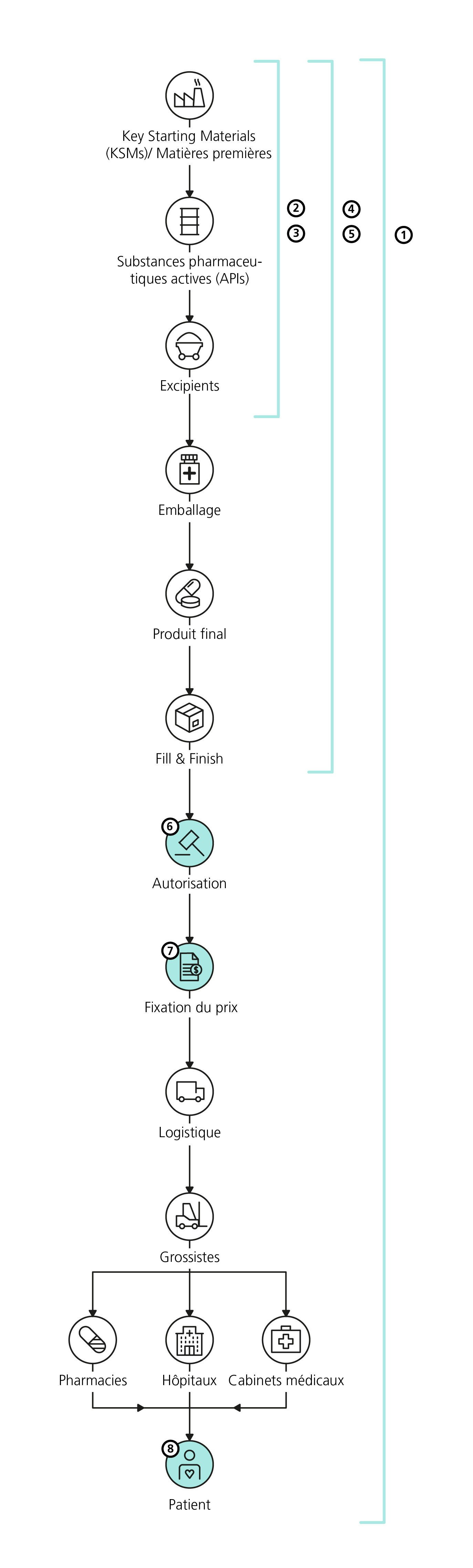 L’illustration représente la chaîne logistique (ou chaîne d’approvisionnement) des médicaments et ses douze étapes réparties sur un axe vertical, de haut en bas et caractérisées par des symboles : 1. Matières premières (KSMs), 2. Substances pharmaceutiques actives (APIs), 3. Excipients, 4. Emballage, 5. Produit final, 6. Fill and Finish, 7. Autorisation, 8. Fixation du prix, 9. Logistique, 10. Grossistes, 11. Pharmacies, hôpitaux et cabinets médicaux (même niveau), 12. Patients. Les numéros indiqués désignent les phases durant lesquelles des problèmes d’approvisionnement peuvent survenir. Ils sont décrits en détail sur la page Internet, dans le texte suivant l’illustration. Le n 1 englobe l’ensemble de la chaîne d’approvisionnement. Les n 2 et 3 couvrent les trois premières étapes : matières premières, substances pharmaceutiques actives et excipients. Les n 4 et 5 se rapportent aux six premières étapes jusqu’à « fill and finish » inclus. Quant aux n 6, 7 et 8, ils concernent respectivement l’autorisation, la fixation du prix et les patients. Cette répartition permet de procéder à un examen détaillé des causes potentielles à l’origine de problèmes d’approvisionnement en médicaments survenant tout au long de la chaîne logistique.