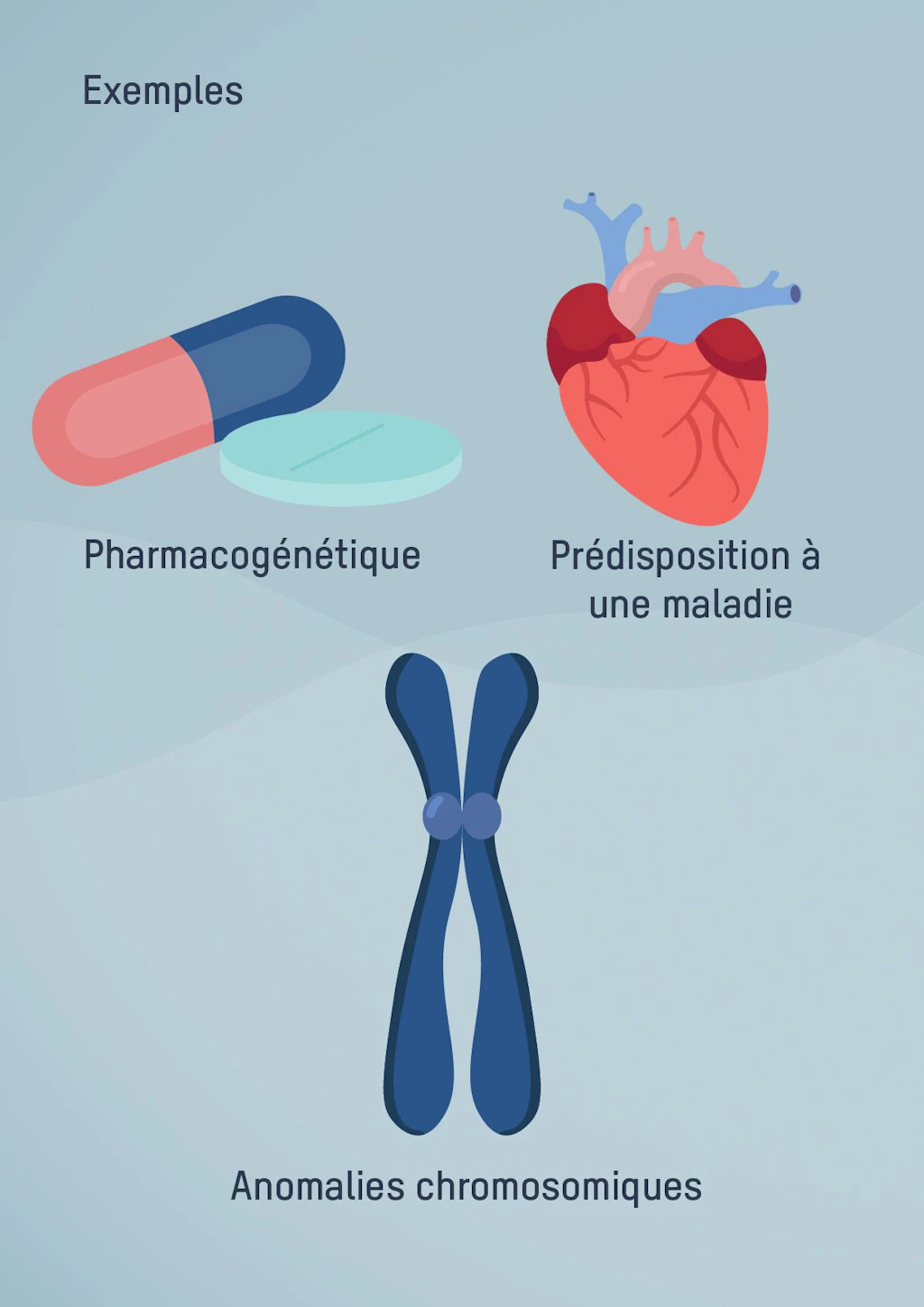 Exemples : Pharmacogénétique, Prédisposition à une maladie, Anomalies chromosomiques.