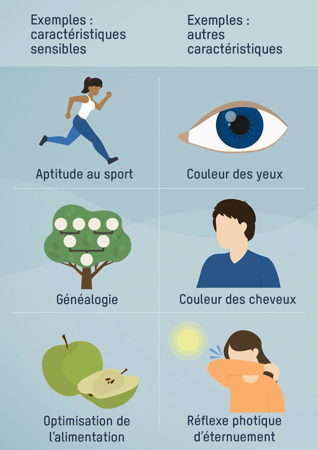 Exemples : caractéristiques sensibles. Aptitude au sport, Généalogie, Optimisation de l’alimentation. Exemples : autres caractéristiques. Couleur des yeux, Couleur des cheveux, Réflexe photique d’éternuement