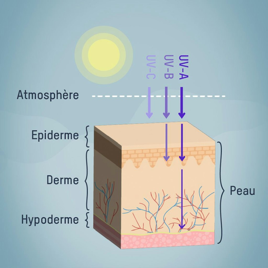 Niveaux de pénétration des rayons UV dans la peau
