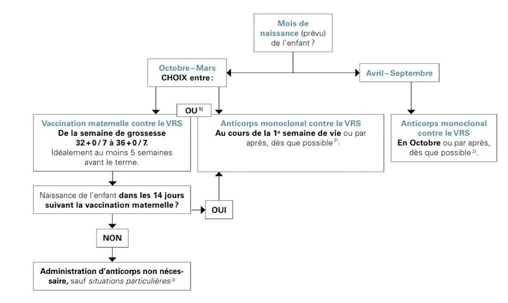Figure 1 Algorithme de vaccination maternelle ou d’immunisation des enfants contre le VRS au cours de leur première année de vie (selon le mois de naissance [prévu]) 