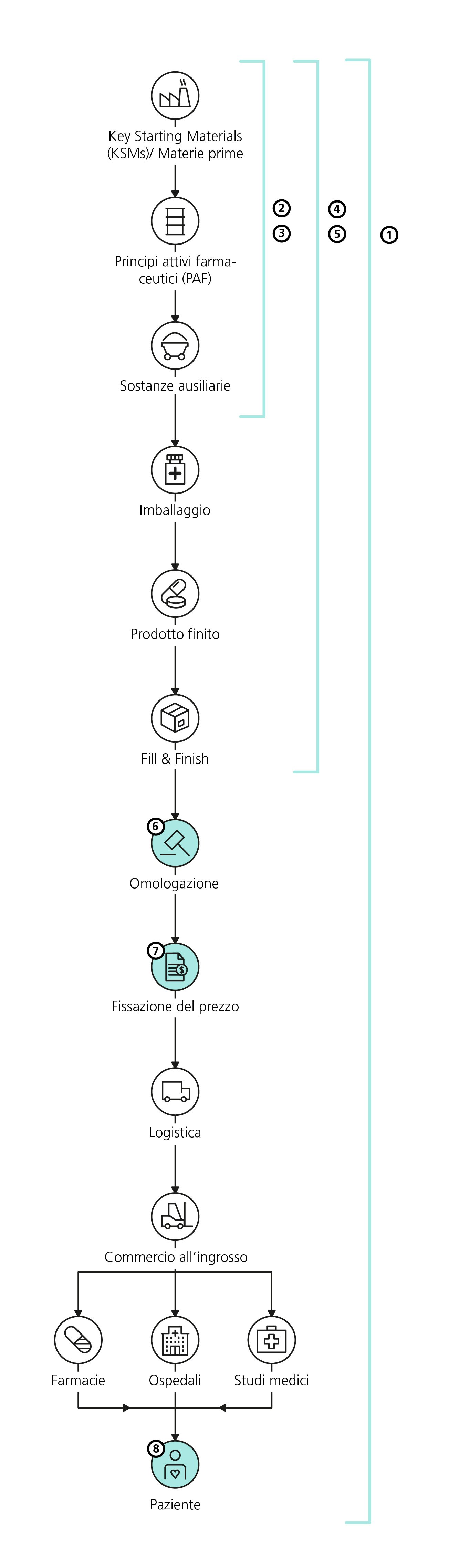 La figura verticale mostra la supply chain (catena di approvvigionamento) dei medicamenti, suddivisa dall’alto verso il basso in 12 fasi intermedie. Le icone di queste ultime sono riportate in ordine cronologico: 1. Key Starting Materials (KSMs)/Materie prime, 2. Principi attivi farmaceutici (PAF), 3. Sostanze ausiliarie, 4. Imballaggio, 5. Prodotto finito, 6. Fill & Finish, 7. Omologazione, 8. Fissazione del prezzo, 9. Logistica, 10. Commercio all’ingrosso, 11. Farmacie, ospedali e studi medici (allo stesso livello), 12. Pazienti Nel grafico sono riportati i numeri corrispondenti alle fasi in cui è possibile che si presentino cause di problemi di approvvigionamento. Tali numeri sono descritti dettagliatamente nella pagina web, nel testo che segue questa figura. Il numero 1 si estende lungo l’intera catena di approvvigionamento. I numeri 2 e 3 comprendono le prime tre fasi parziali, ossia materie prime, principi attivi farmaceutici e sostanze ausiliarie. I numeri 4 e 5 si riferiscono alle prime sei fasi parziali, compresa quella del riempimento e del confezionamento per la spedizione. Il numero 6 corrisponde alla fase dell’omologazione. Il numero 7 riguarda la fissazione del prezzo. Il numero 8 si riferisce ai pazienti. Questa suddivisione permette di esaminare in maniera dettagliata le potenziali cause di problemi di approvvigionamento lungo l’intera catena di approvvigionamento dei medicamenti.