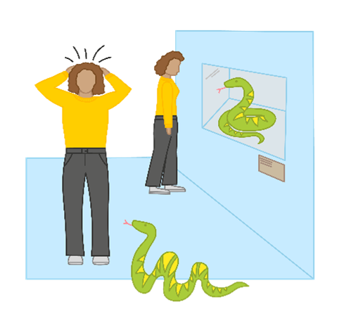 L'immagine a sinistra mostra una persona in piedi accanto a un serpente verde e giallo, spaventata perché il serpente striscia verso di lei. Il serpente rappresenta un pericolo per la persona. A destra dell'immagine, la stessa persona è in piedi di fronte a una lastra di vetro dietro la quale è seduto il serpente. In questo caso il serpente non rappresenta un pericolo per la persona perché si trova in un terrario. Questo riduce il rischio per la persona.
