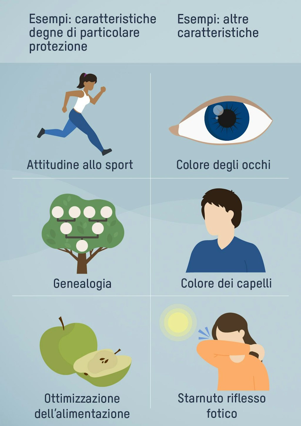 Esempi: caratteristiche degne di particolare protezione. Attitudine allo sport, Genealogia, Ottimizzazione dell’alimentazione. Esempi: altre caratteristiche. Colore degli occhi, Colore dei capelli, Starnuto riflesso fotico.