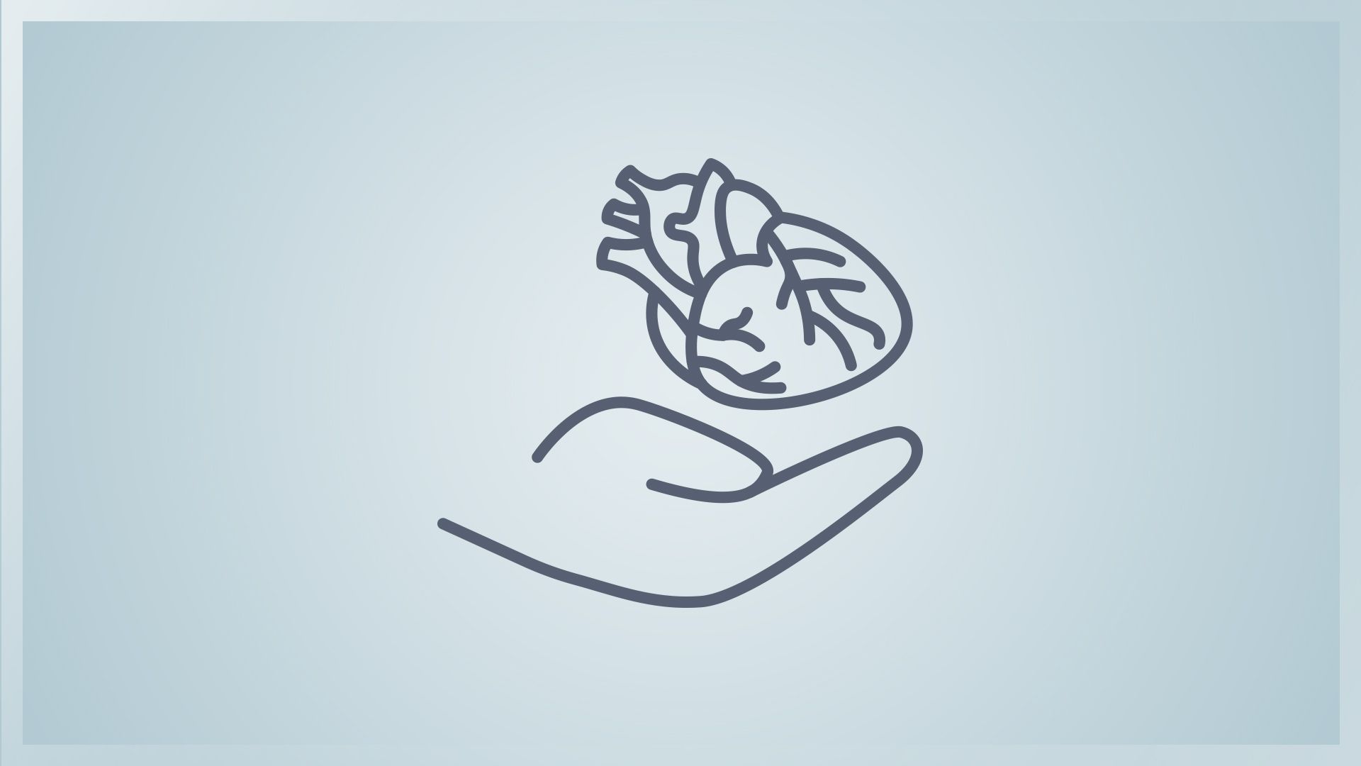 una mano aperta sotto un cuore umano.