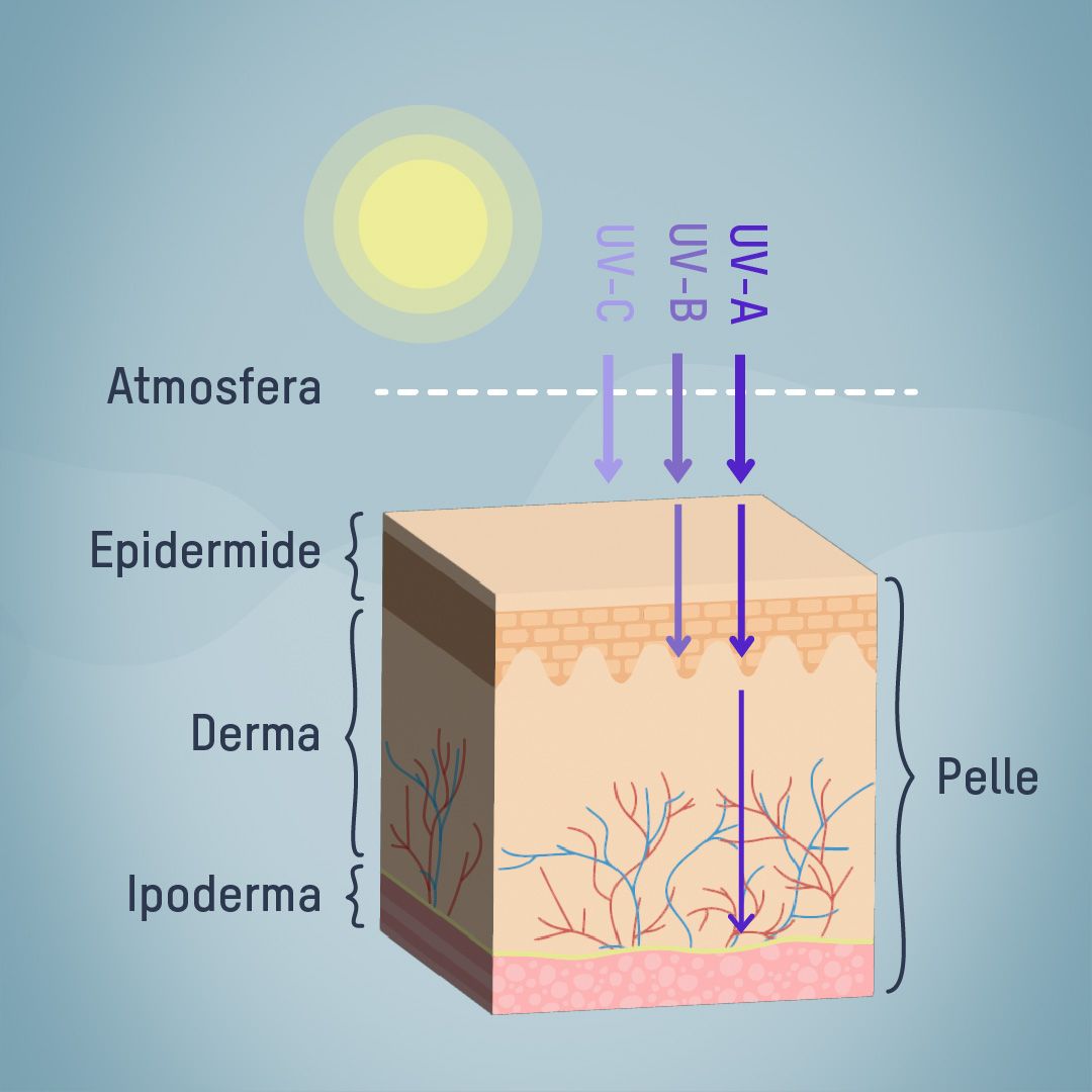 Livelli di penetrazione dei raggi UV nella pelle